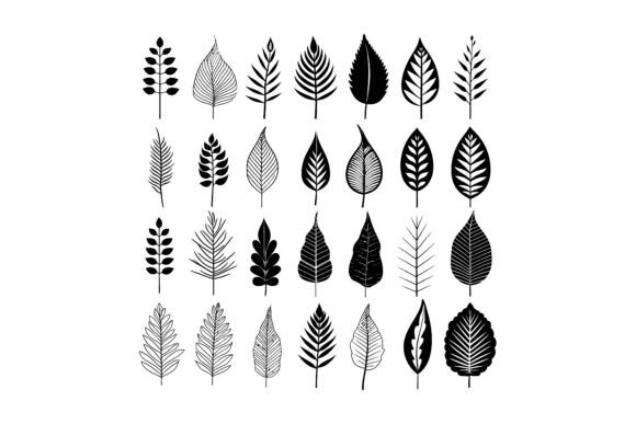 Elevating Modern Design with the Elegant Leaf Vector Set: Precision, Versatility, and Creative Freedom
