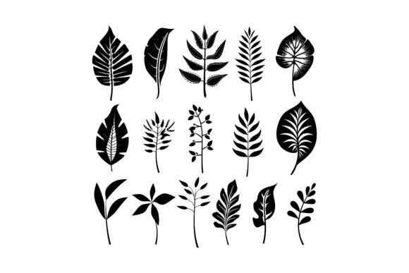 Leaf Design Vector Set: A Practical Evaluation for Designers